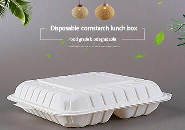 Why Choose Biodegradable Products?